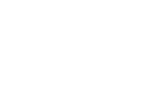 Shirdi Sai Electricals Ltd.
